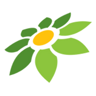 CARI SPINHOKI
